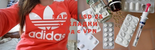 твердый Арсеньев
