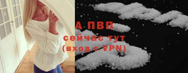 твердый Арсеньев