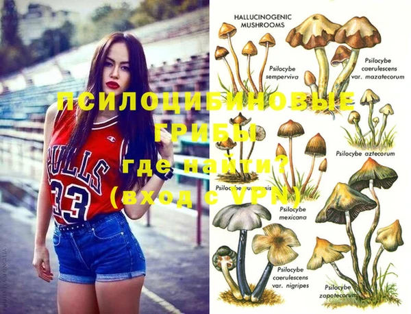 эйфоретик Алексин