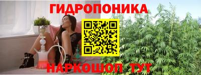 ECSTASY Рыбинск
