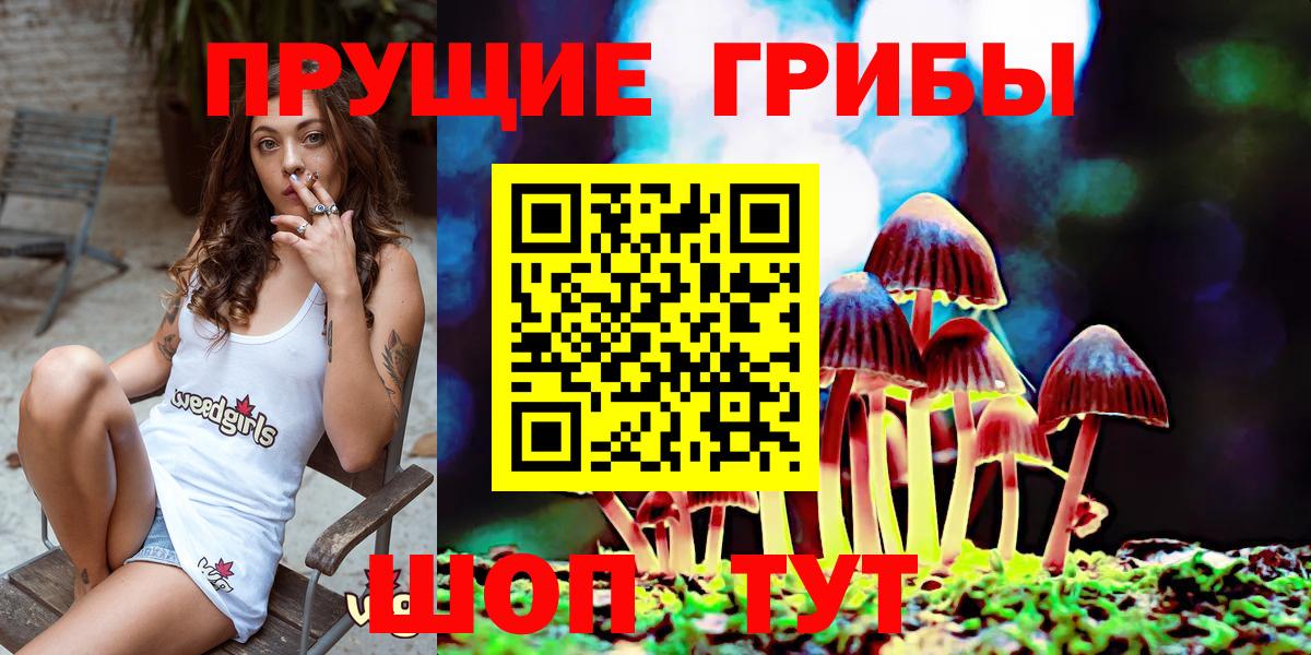 Псилоцибиновые грибы MAGIC MUSHROOMS  Вход с VPN  Краснотурьинск 