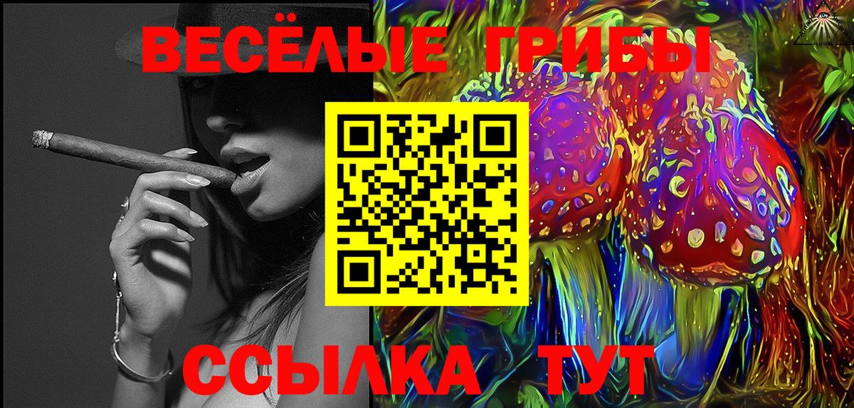 Галлюциногенные грибы GOLDEN TEACHER Краснотурьинск